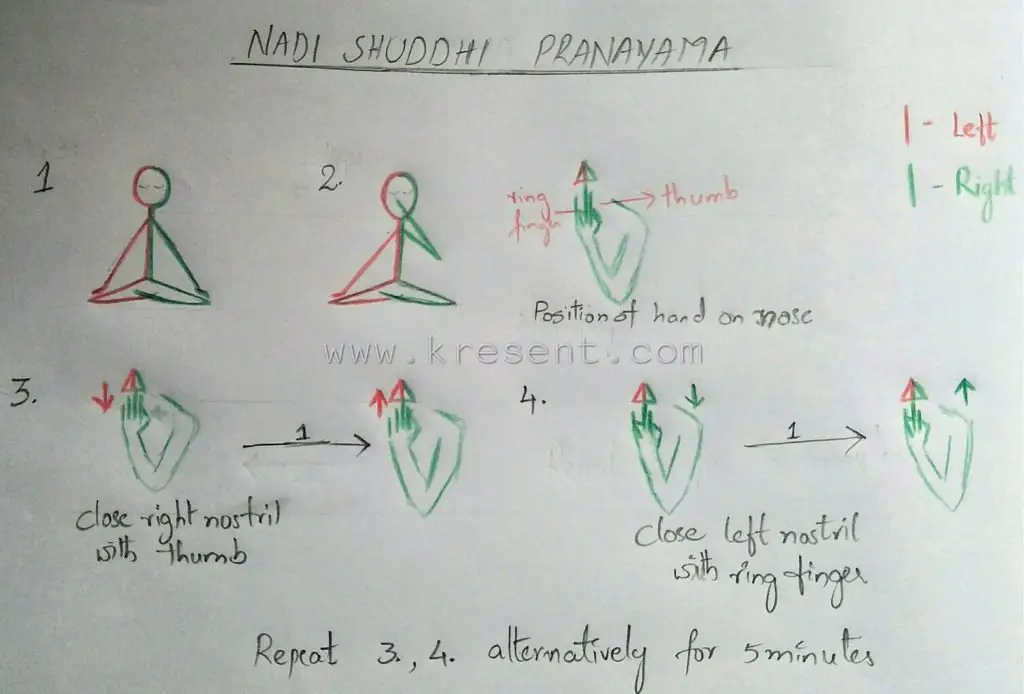 pranayama for stress - Nadi Shodhana pranayama | Nadi shuddhi pranayama