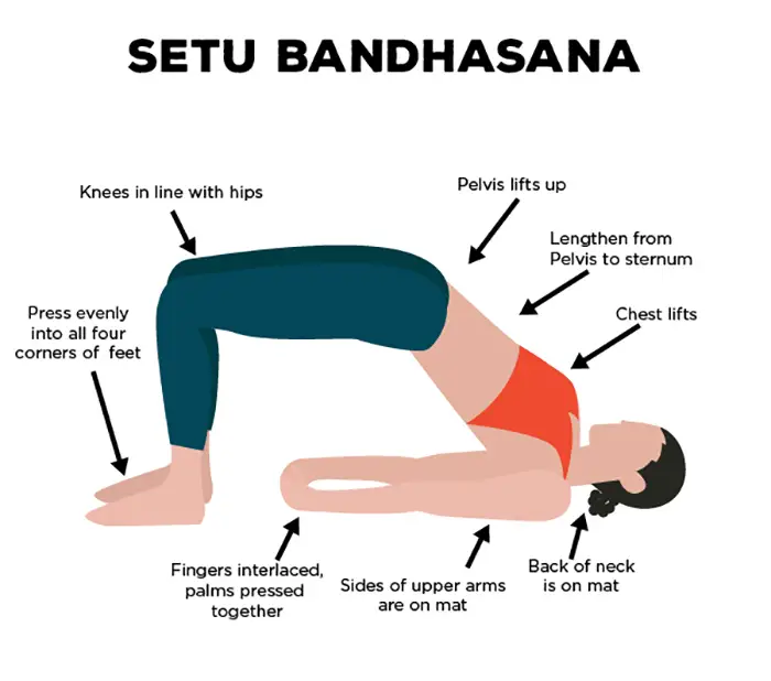 Setu bandhasana (Bridge Pose) - Alleviate fatigue cause, balance hormones and stop emotional / stress eating