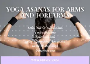 Yoga Asanas For Arms And Forearms