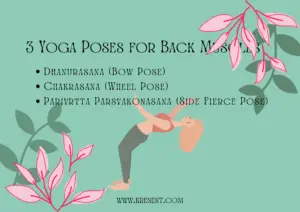 yoga poses for back fat