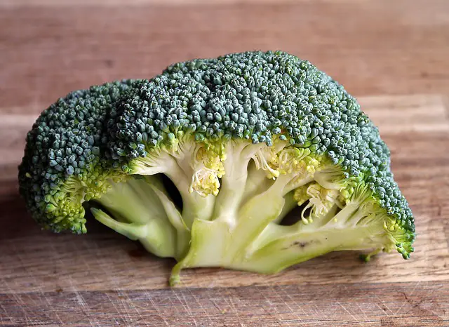 vitamin k rich broccoli