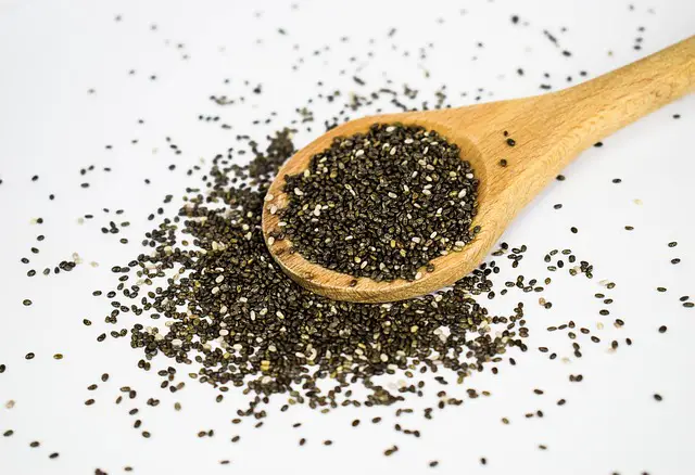 chia seeds for gas relief
