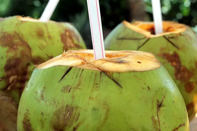 ways to add coconut water to diet
