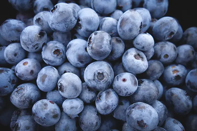 Blueberries - Vitamin A rich foods for eyes
