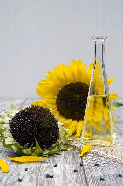 Benefits of sunflower seed oil for face - How to use sunflower oil for skin?