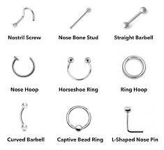 Types Of Nose Piercing Jewelry