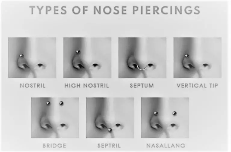 Types Of Nose Piercings Nose Piercing Types With Different Types Of ...