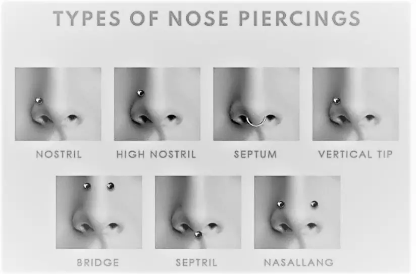 Types Of Nose Piercings