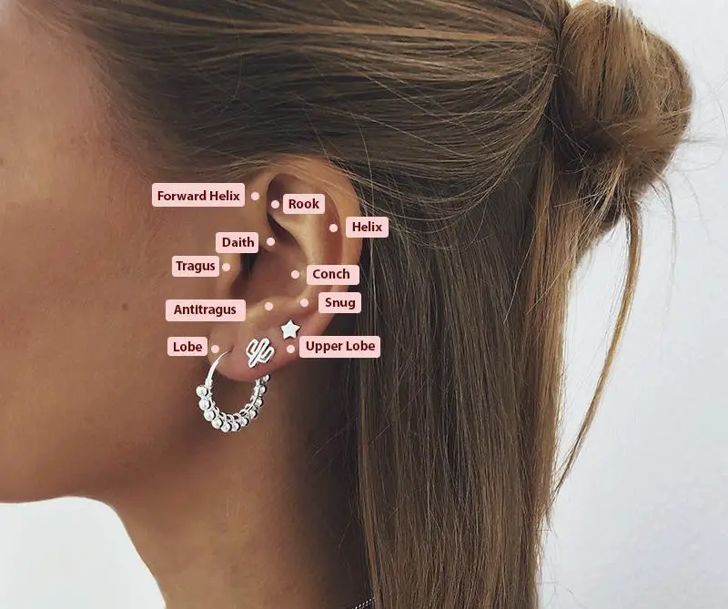 Types Of Ear Piercings