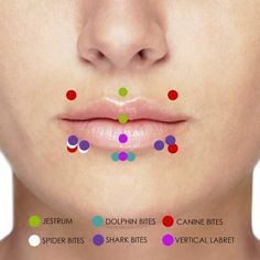 Types Of Piercings 