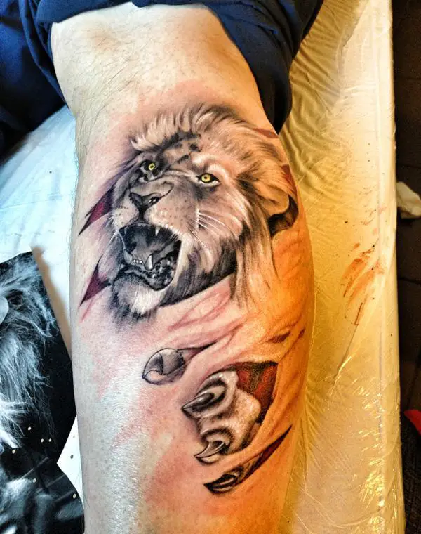 30 Lion Tattoo Designs - Simple Lion Tattoo Designs, Small Lion Tattoo For  Females And more – Fashion