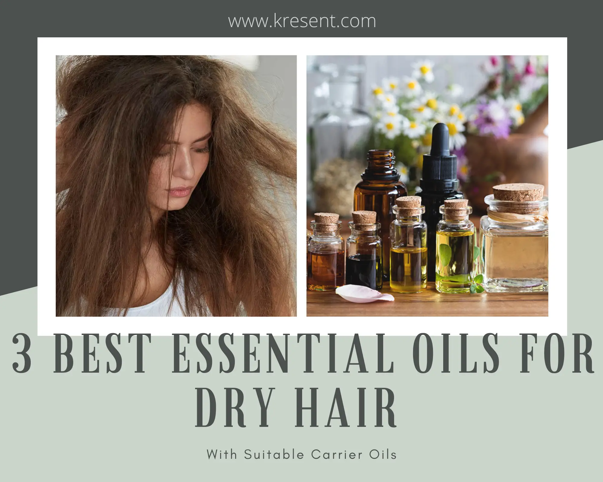 3 Best Essential Oils For Dry Hair With Suitable Carrier Oils – Health