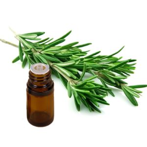 Rosemary With Cinole Essential Oil
