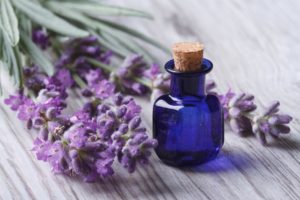 Lavender Aspic Essential Oil