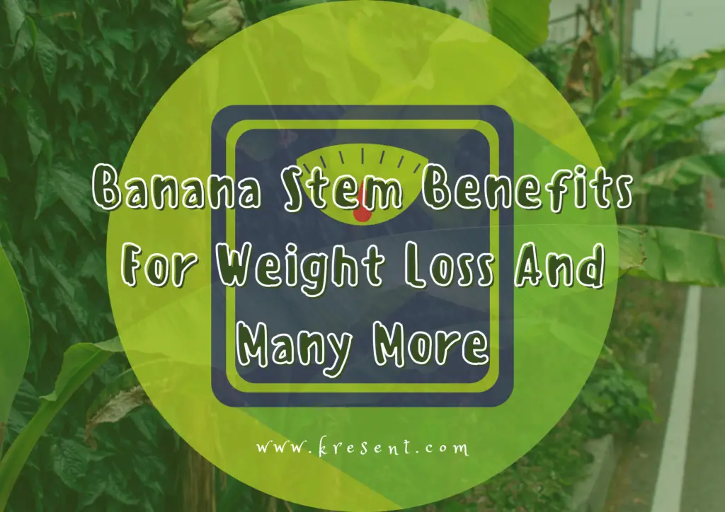 Banana Stem Benefits For Weight Loss And Many More