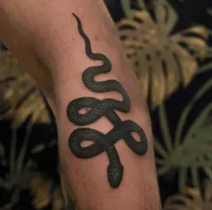 Black Snake Tattoo Designs