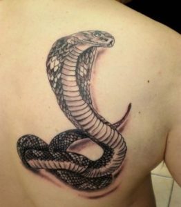 Cobra Snake Tattoo Designs
