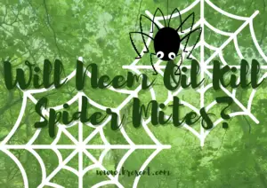 Will Neem Oil Kill Spider Mites