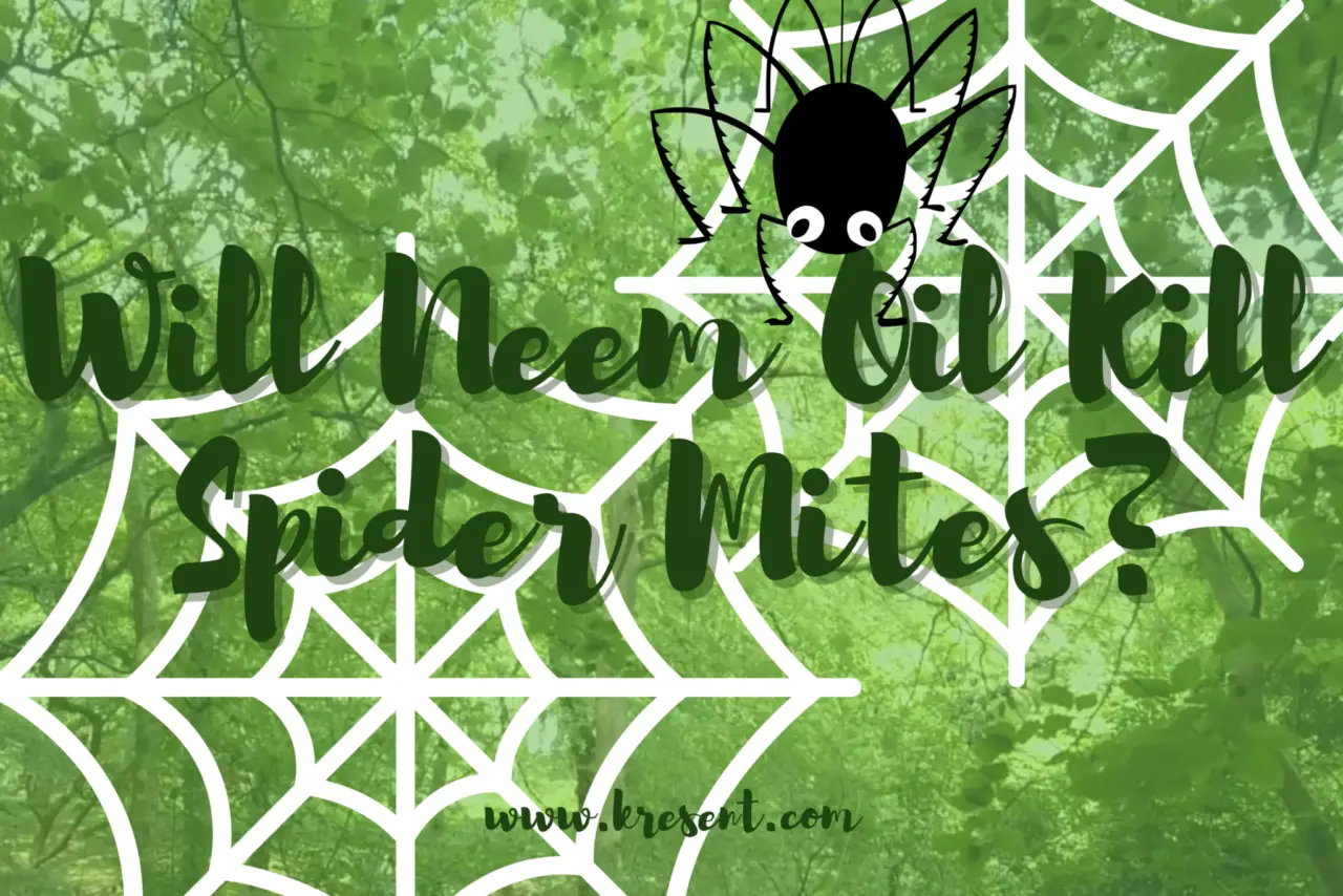 Will Neem Oil Kill Spider Mites