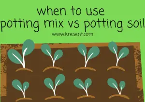 when to use potting mix vs potting soil