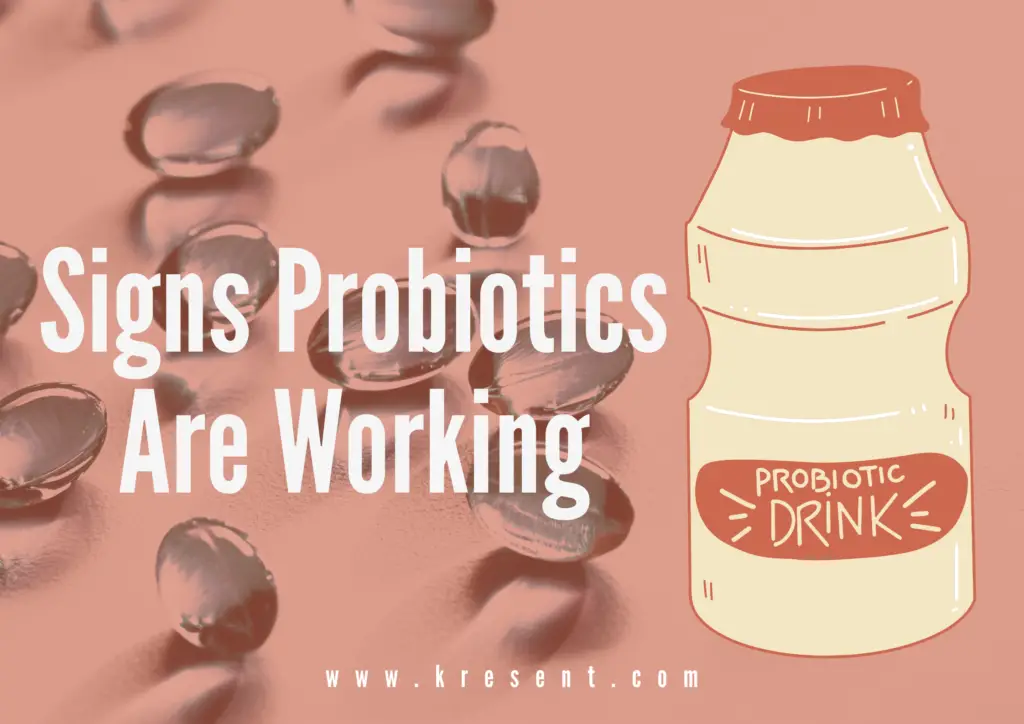 Signs Probiotics Are Working