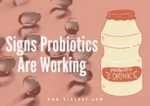 Signs Probiotics Are Working