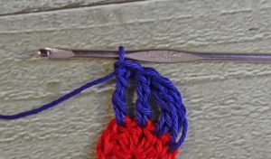 DTR Crochet Stitch