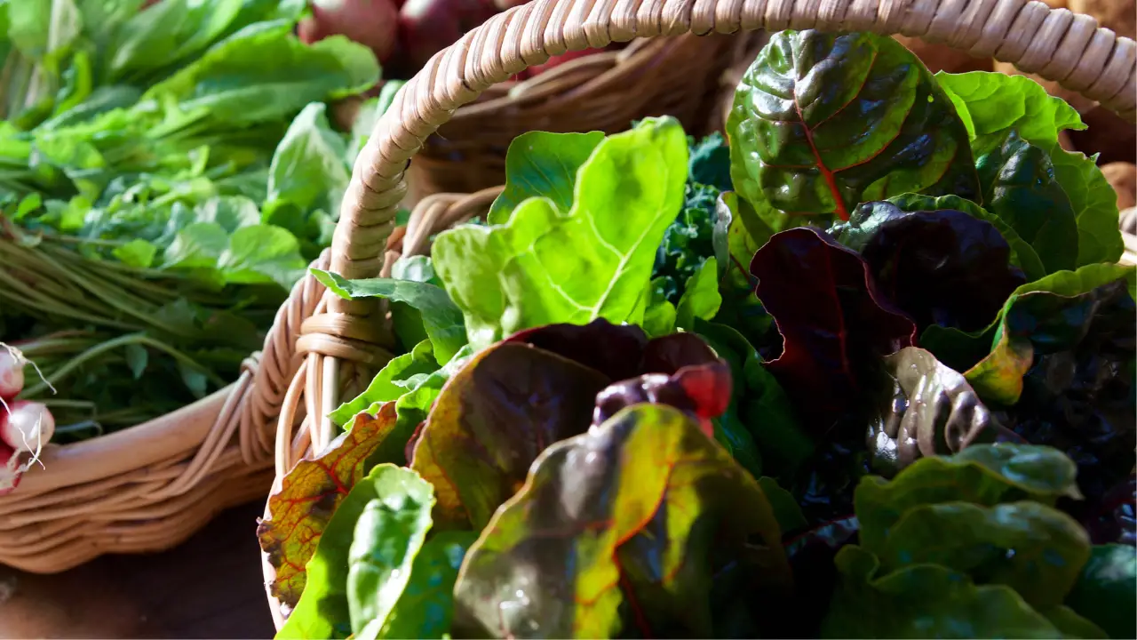 Indian leafy vegetables and their benefits