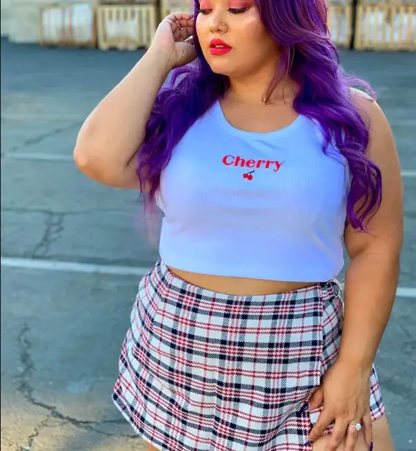 Plus Size Crop Top With Checkered Mini Skirt