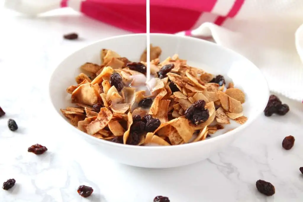 Raisins And Coconut Flakes Breakfast Bowl 