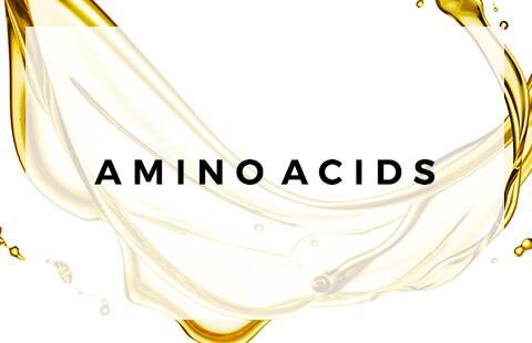 What are Amino Acids?