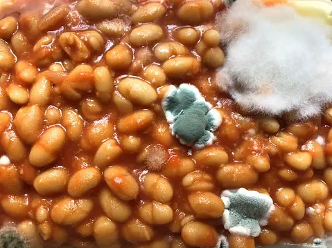 how to tell if beans have gone bad