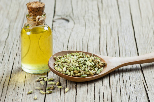 fennel oil for weight loss