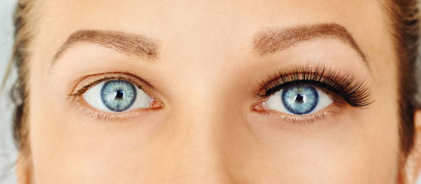 What is the difference between a lash lift and eyelash extensions?