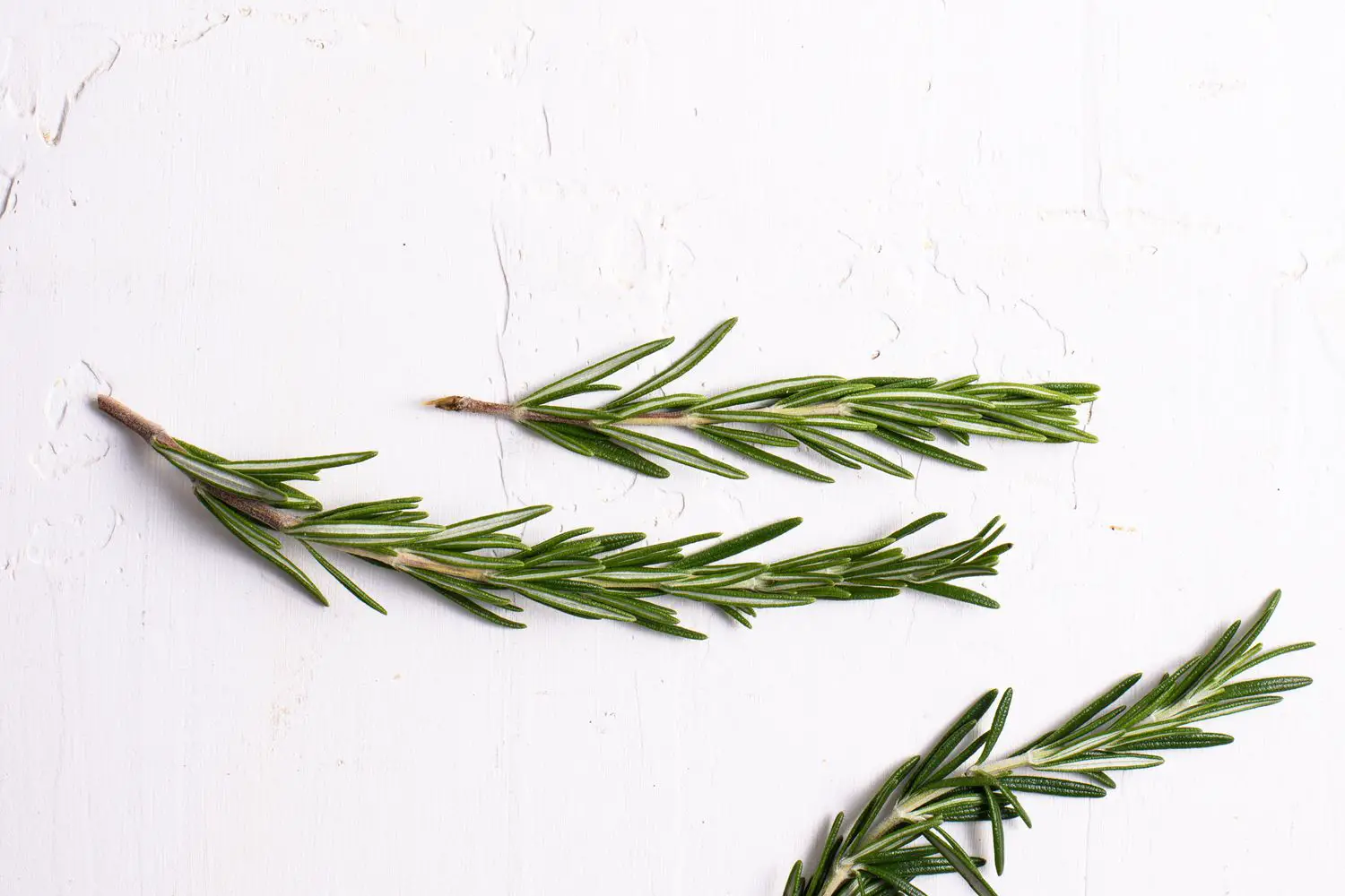 How Much Dried Rosemary Equals Fresh?